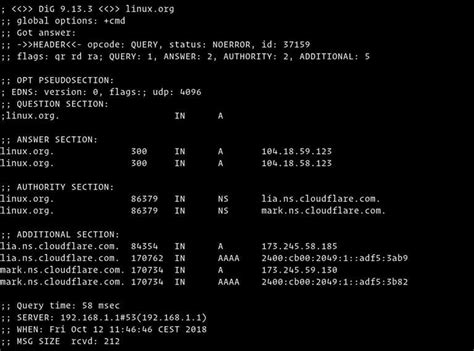 dig output|dig(1): DNS lookup utility .